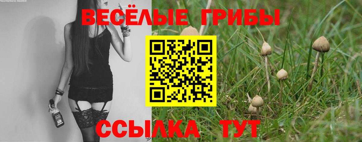 Галлюциногенные грибы мицелий  Вход с VPN  Набережные Челны  Псилоцибиновые грибы GOLDEN TEACHER 